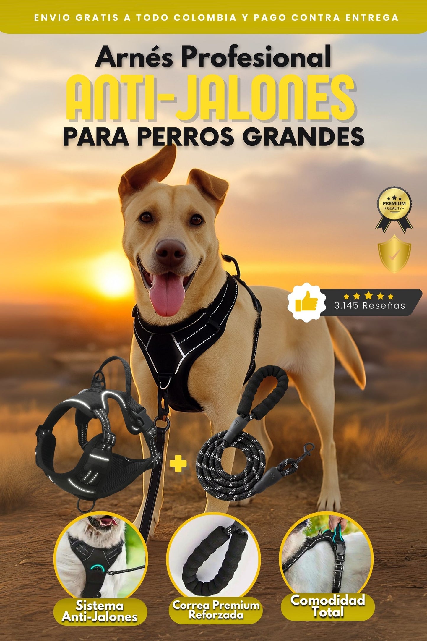 Gomitas de Creatina Monohidratada 5gr|Beast Bites™