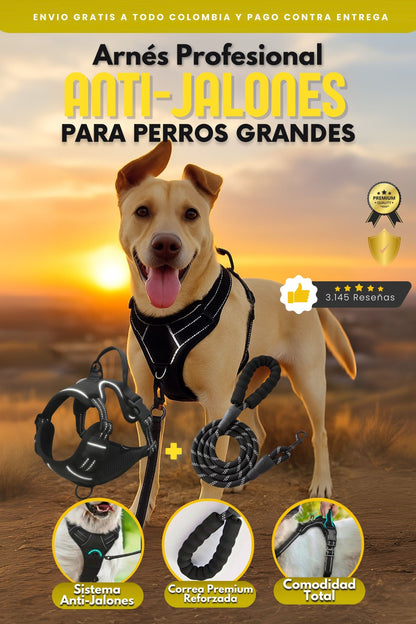 Gomitas de Creatina Monohidratada 5gr|Beast Bites™