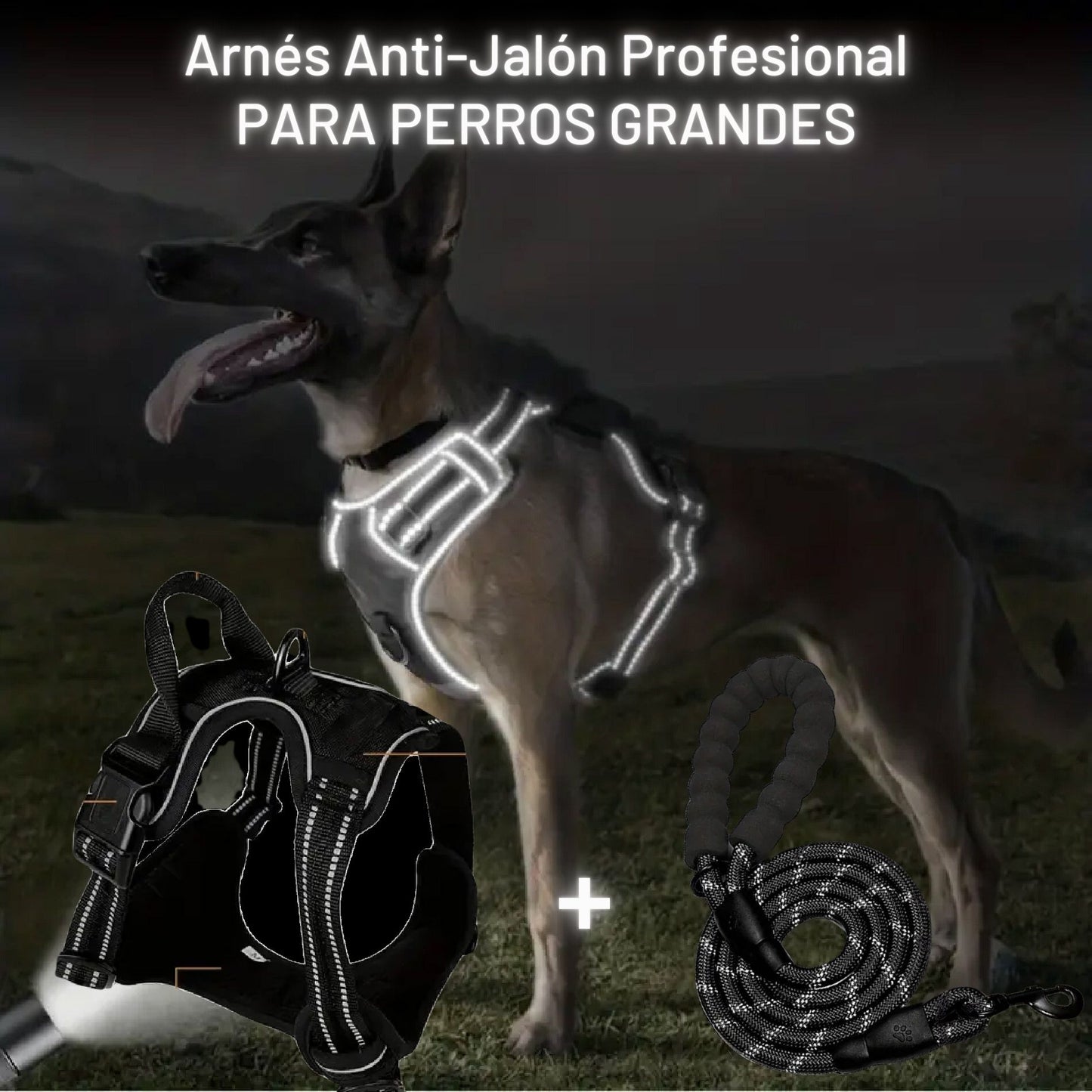 Arnés Anti-Jalones Profesional + Correa